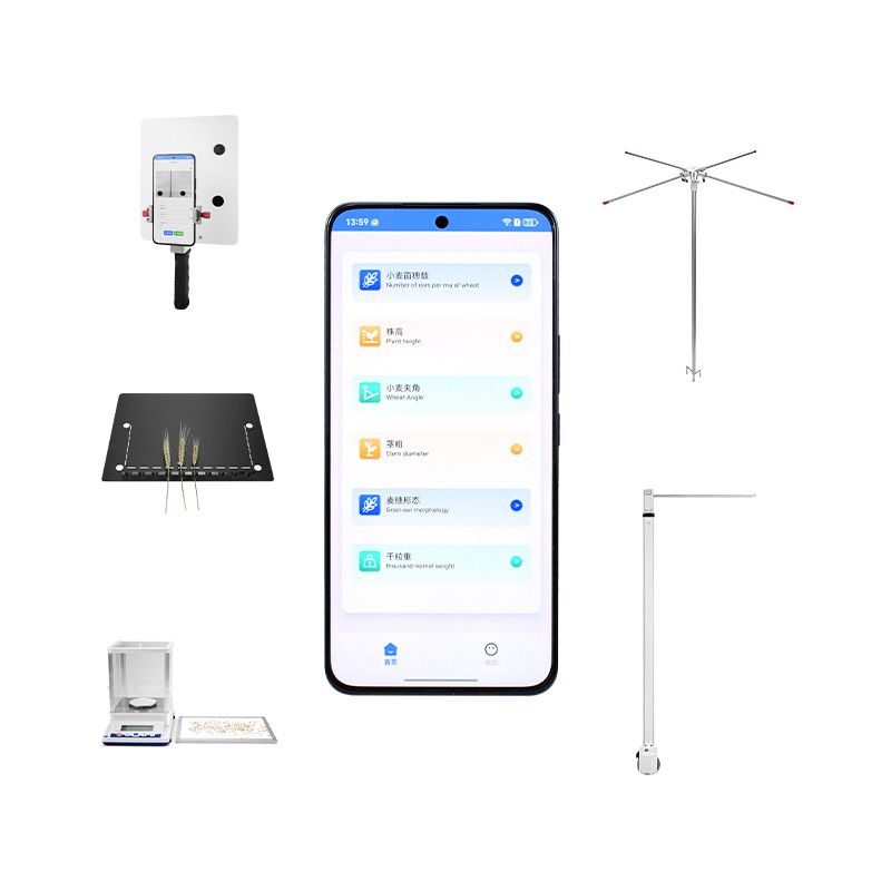 小麥表型分析系統